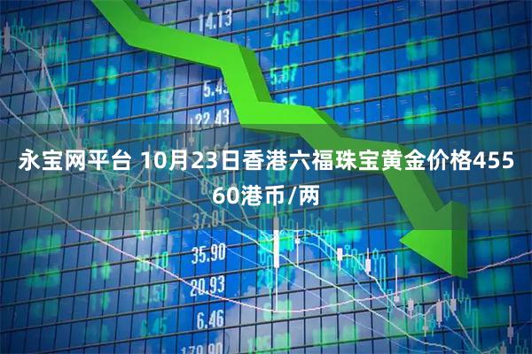 永宝网平台 10月23日香港六福珠宝黄金价格45560港币/两