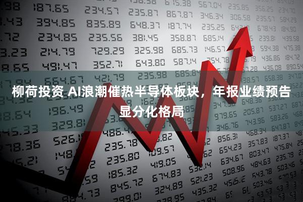 柳荷投资 AI浪潮催热半导体板块，年报业绩预告显分化格局